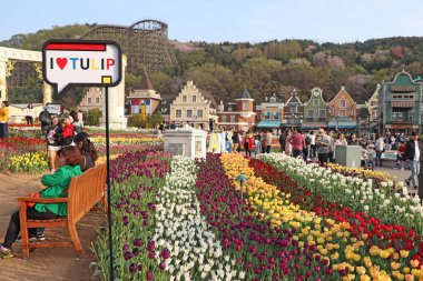 Gyeonggi, Güney Kore, 22 Nisan 2019: Güzel lale ve tatildeki turistler
