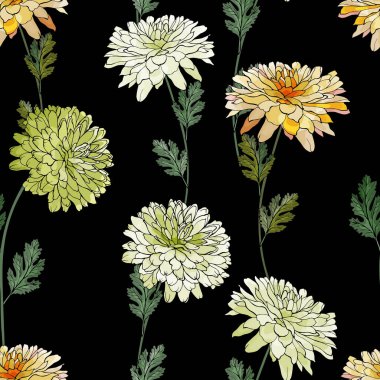 Yeşil, beyaz ve sarı kasımpatılar. Siyah bir arka planda çiçek deseni var. Tasarımın için, tekstil, web sayfaları, baskılar. El çizimi. Gerçekçi bir tarz. Vektör stok illüstrasyonu.