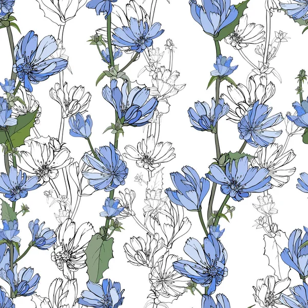 Modello Floreale Senza Cuciture Disegnato Mano Con Cicoria Blu Fiori — Vettoriale Stock