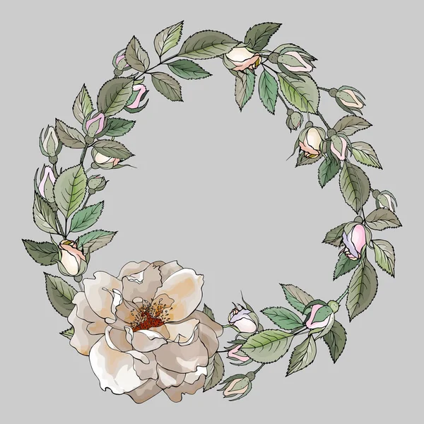Floral Frame Cream Rose Green Leaves Rosebuds Gray Background Copy — Stock Vector
