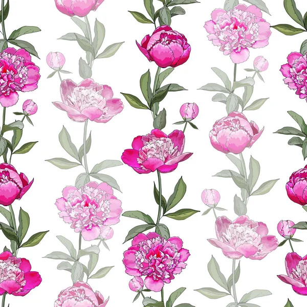 Padrão Sem Costura Floral Com Flores Rosa Peônias Folhas Verdes —  Vetores de Stock