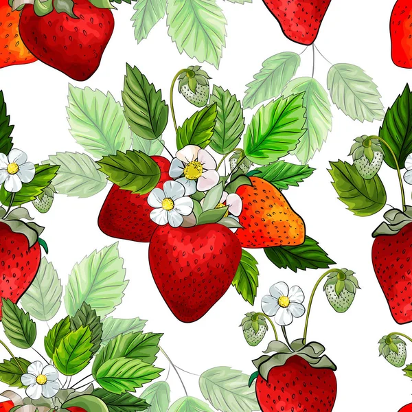 明亮的无缝图案 红色草莓 白色的花和绿色的叶子在白色的背景 矢量存量说明 — 图库矢量图片
