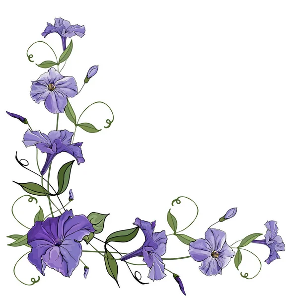 Cornice Floreale Con Fiori Viola Petunia Sfondo Bianco Disegnato Mano — Vettoriale Stock