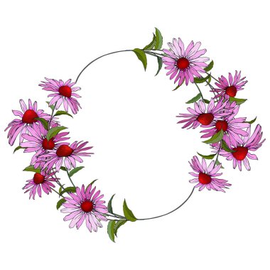 Pembe çiçeklerin vektör çelengi. Echinacea Purpurea 'lı yuvarlak çerçeve ve beyaz arka planda yeşil yapraklar. Uzayı kopyala Davet şablonu, tebrik kartı, tarih kartı için tasarım.