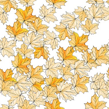 Beyaz arka planda sarı akçaağaç yaprakları olan sonbahar pürüzsüz deseni. Duvar kağıdı, tekstil, hediye kağıdı, afiş, poster, el ilanı, sonbahar tebrik kartları için..
