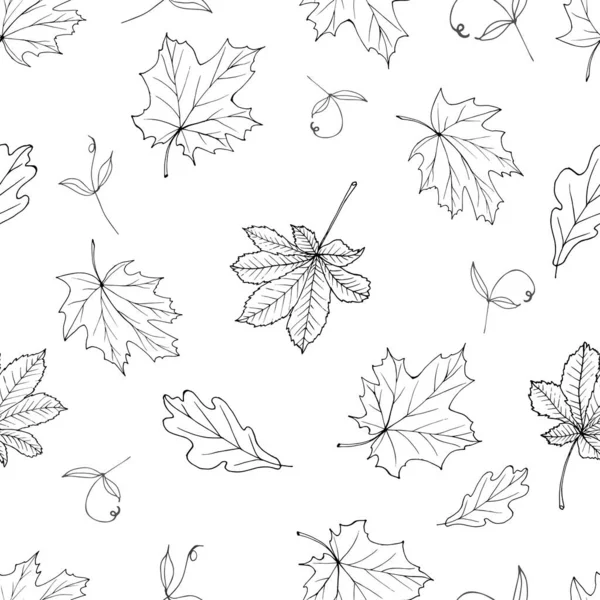 Seamless Pattern Autumn Outline Leaves White Black White Background Contour — Stock Vector