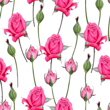 Gül çiçekleri ve yaprakları olan vektörsüz desen, tekstil için çiçek deseni