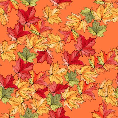 Güzel el çizimi akçaağaç yaprakları, sonbahar yaprakları, vektör, illüstrasyon