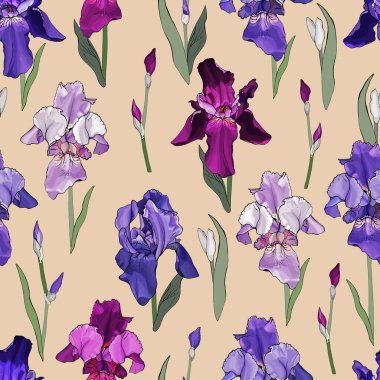 Süsen çiçekleri ve yaprakları olan vektörsüz desen, tekstil için çiçek deseni