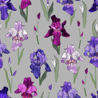 Süsen çiçekleri ve yaprakları olan vektörsüz desen, tekstil için çiçek deseni