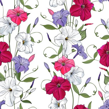 Petunya çiçekleri ve yapraklarıyla vektör deseni, tekstil için çiçek deseni