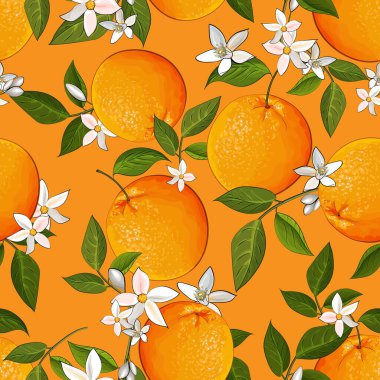 Portakallı vektör deseni, tekstil için çiçek deseni
