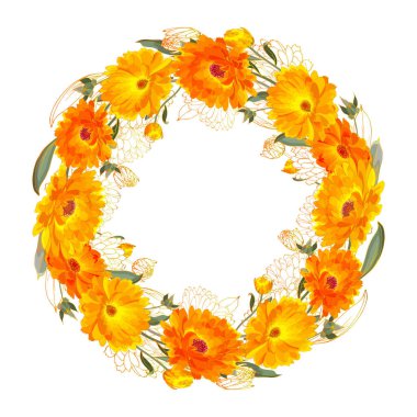 Beyaz arkaplan, vektör, illüstrasyon üzerinde izole edilmiş takvim çiçekleri ile güzel çiçek çelengi