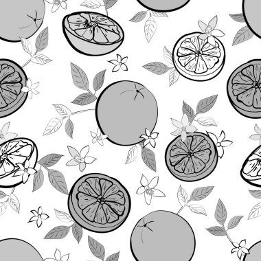 Portakallı vektör deseni, tekstil için çiçek deseni