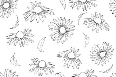 Ekinezya çiçekleri ve yaprakları olan vektörsüz desen, tekstil için çiçek deseni