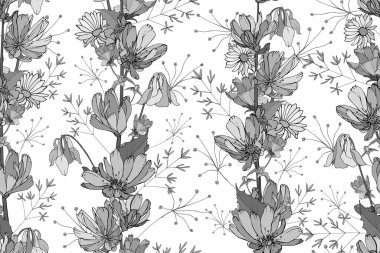 Hindiba çiçekleri ve yaprakları olan vektörsüz desen, tekstil için çiçek deseni