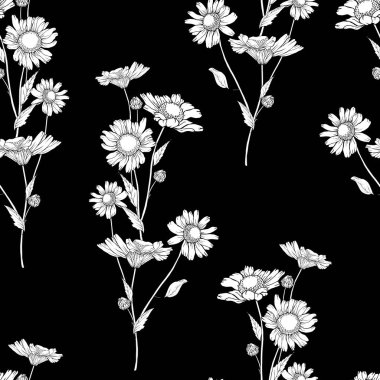 Papatya çiçekleri ve yaprakları olan vektörsüz desen, tekstil için çiçek deseni