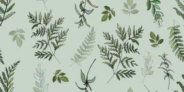 Eğreltiotu yaprakları, vektör, illüstrasyon.