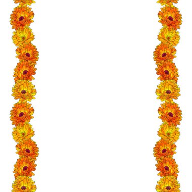 Beyaz arkaplan, vektör, illüstrasyon üzerinde izole edilmiş takvim çiçekleri ile güzel çiçek çelengi