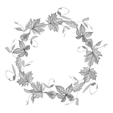 Güzel el çizimi sonbahar yaprakları, vektör, illüstrasyon