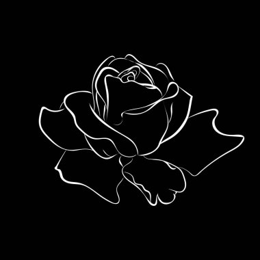 Tek renkli el, koyu arkaplan, vektör, illüstrasyon üzerine çizilmiş gül çiçeği 