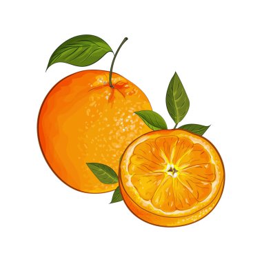 Elle çizilmiş olgun portakallar, tekstil için çiçek deseni