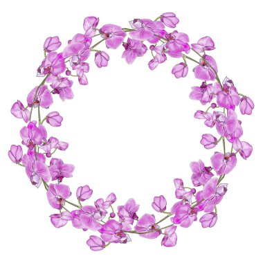 Beyaz arkaplanda izole edilmiş orkide çiçekleriyle güzel çiçek çelenkleri, vektör, illüstrasyon