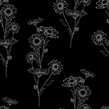 Papatya çiçekleri ve yaprakları olan vektörsüz desen, tekstil için çiçek deseni