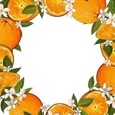 Portakallı vektörsüz çerçeve, tekstil için çiçek deseni