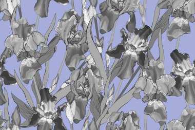 Süsen çiçekleri ve yaprakları olan vektörsüz desen, tekstil için çiçek deseni