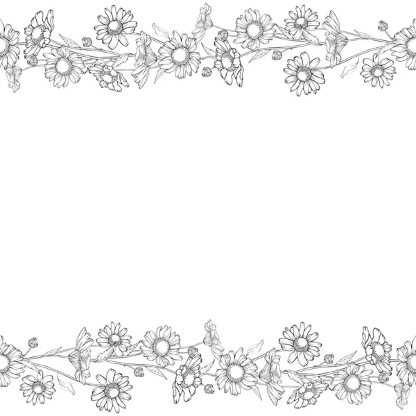 Квіткова Рамка Кордону Квітами Ромашок Святкового Дизайну — стоковий вектор