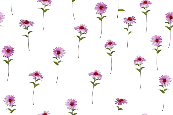 Vector Seamless Pattern Echinacea Flowers Leaves Floral Pattern Textile — 图库矢量图片