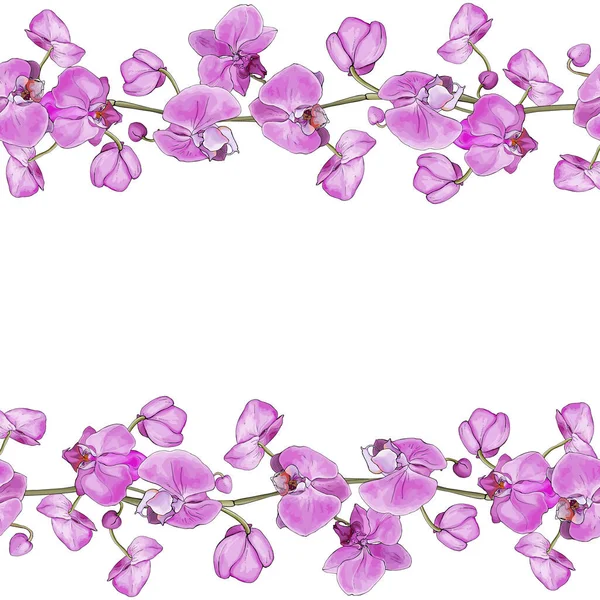 お祝いのカードのデザインのための蘭の花と花枠の境界 — ストックベクタ