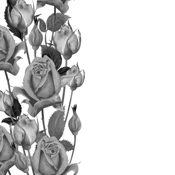 お祝いのカードデザインのためのバラの花と花のフレームの境界 — ストックベクタ