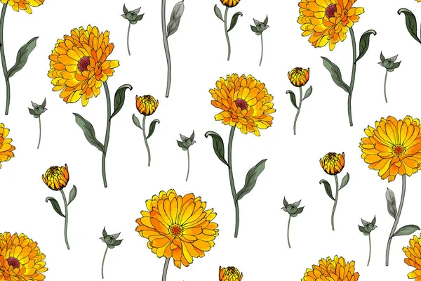 Patrón Sin Costura Vectorial Con Caléndulas Flores Hojas Patrón Floral — Vector de stock