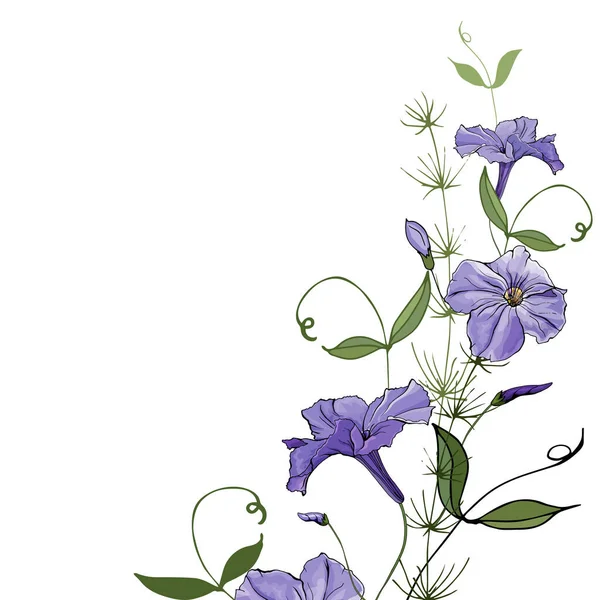 Floral Frame Border Λουλούδια Πετούνια Για Εορταστικό Σχεδιασμό Κάρτας — Διανυσματικό Αρχείο