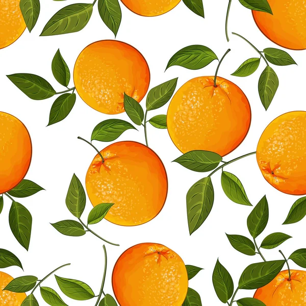 Векторный Бесшовный Рисунок Апельсинами Цветочный Узор Текстиля — стоковый вектор