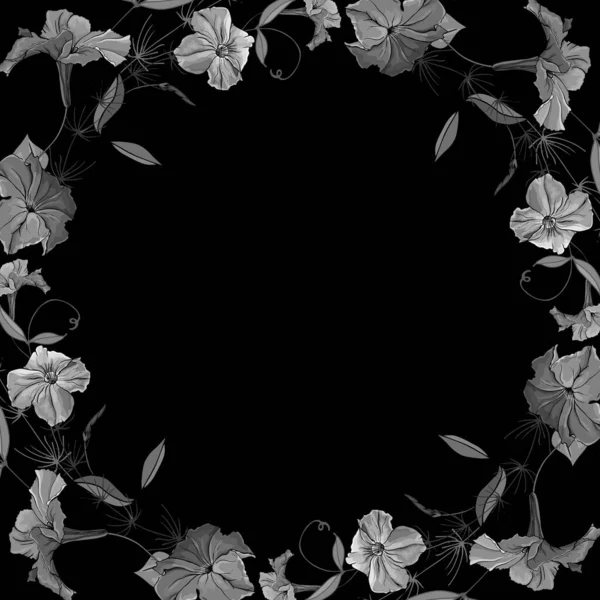 Beyaz arka plan, vektör, illüstrasyon üzerinde izole edilmiş petunya çiçekleri olan güzel çiçek çerçevesi