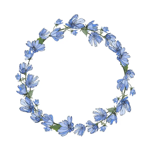 Hermosa Corona Floral Con Flores Achicoria Aisladas Sobre Fondo Blanco — Archivo Imágenes Vectoriales