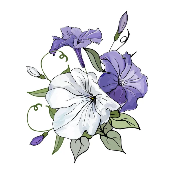 Conjunto Flores Petunia Coloridas Dibujadas Mano Aisladas Sobre Fondo Blanco — Vector de stock