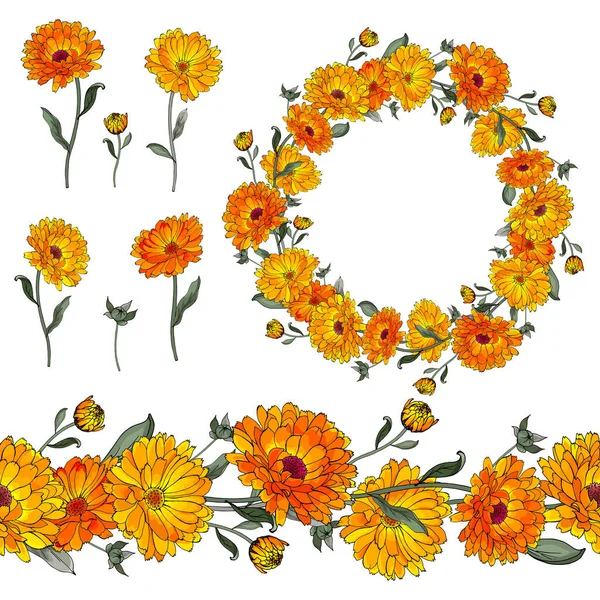 Beautiful Floral Wreath Calendula Flowers Isolated White Background Vector Illustration — Stock Vector