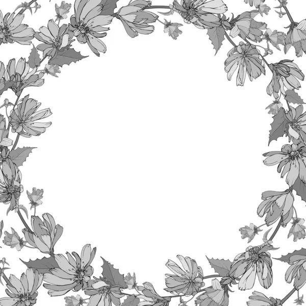 Bloemen Frame Met Cichorei Bloemen Voor Feestelijk Design — Stockvector