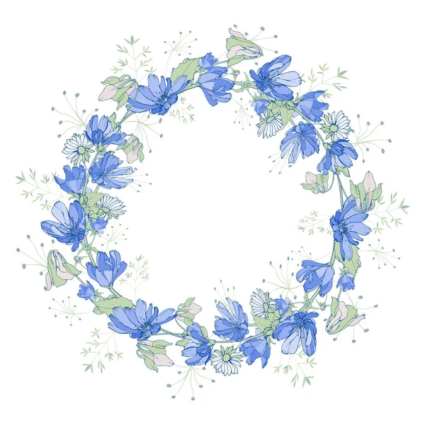 Floraler Rahmen Mit Chicorée Blumen Für Festliche Gestaltung — Stockvektor