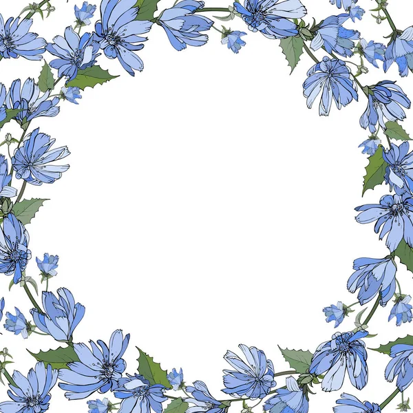 Floral Frame Chicory Flowers Festive Design — Stock Vector