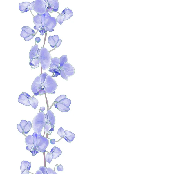 Bordo Della Struttura Floreale Con Fiori Dei Orchids Progettazione Festiva — Vettoriale Stock