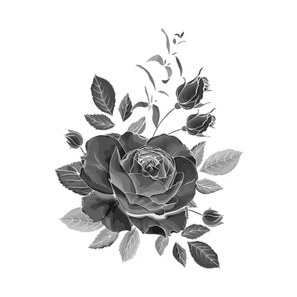 Fleur Rose Monochrome Dessinée Main Isolée Sur Fond Blanc Vecteur — Image vectorielle