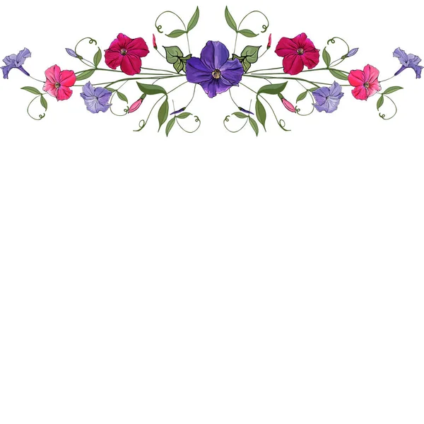 Floral Frame Border Petunia Flowers Festive Card Design — Stock Vector