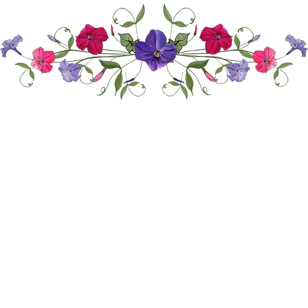 Borde Marco Floral Con Flores Petunia Para Diseño Tarjetas Festivas — Vector de stock