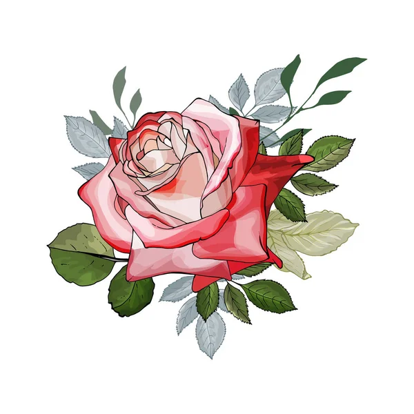 Fiore Rosa Disegnato Mano Con Foglie Isolate Sfondo Bianco Vettore — Vettoriale Stock