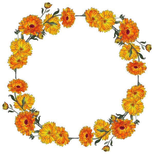 Beyaz arkaplan, vektör, illüstrasyon üzerinde izole edilmiş takvim çiçekleri ile güzel çiçek çelengi